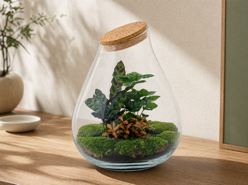 DIY Planten terrarium - Drop XL Palm - Ø 24 cm ↑ 37 cm - Rake + Shovel + Tweezer - interieur