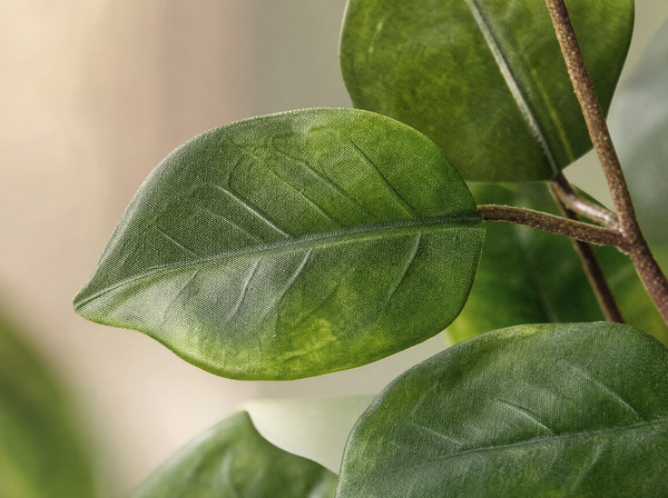 Polyscias boom - 105 cm - Kunstplant - blad close-up