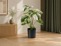 Monstera bush in pot 40cm - Kunstplant - Artificial plant