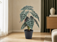 Alocasia bush in pot 40 cm - Kunstplant - Artificial plant