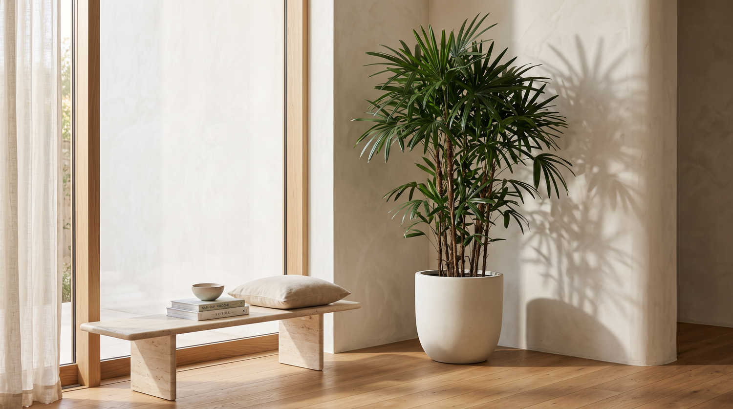 Grote statement plant in een rustige kamer