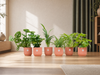 Verrassingsbox - 6 planten inclusief elho Vibes Fold Round Ø14 roze