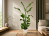 Strelitzia Nicolai inclusief elho Greenville Round wit - 170 cm - Ø30