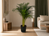 Areca palm - ↨130cm - Ø24cm inclusief elho Greenville Round zwart D30xH28