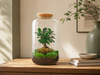 DIY terrarium - Sven Bonsai - ↕ 43 cm - Rake + Shovel + Tweezer + Scissors