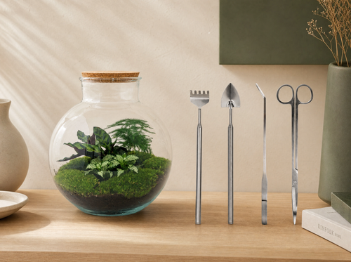 DIY Planten terrarium (met verlichting) - Bolder Bob - Ø 31 cm ↑ 30 cm - Rake + Shovel + Tweezer + S - interieur