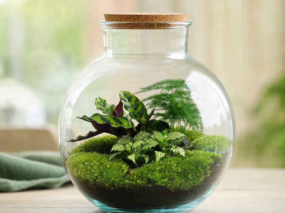 DIY Planten terrarium (met verlichting) - Bolder Bob - Ø 31 cm ↑ 30 cm - Rake + Shovel + Tweezer + S - detail
