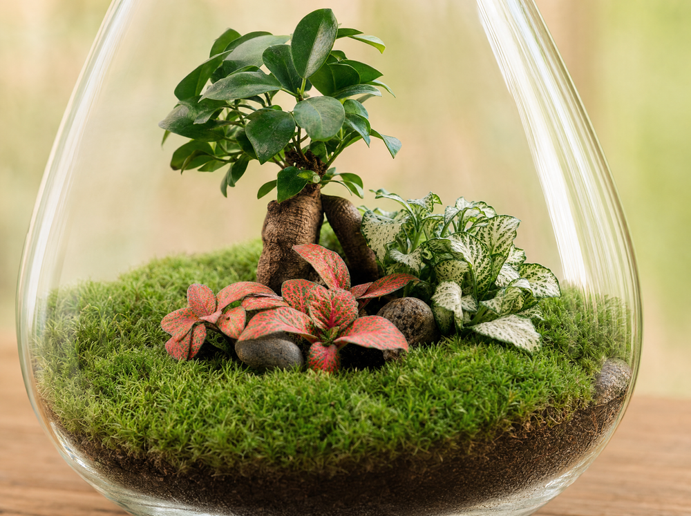 DIY Planten terrarium - Drop XL Bonsai 'red' - Ø 24 cm ↑ 37 cm - Rake + Shovel - detail