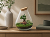 DIY Planten terrarium - Drop XL Bonsai 'red' - Ø 24 cm ↑ 37 cm - Rake + Shovel