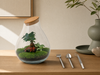 DIY Planten terrarium - Drop XL Bonsai 'red' - Ø 24 cm ↑ 37 cm - Rake + Shovel + Tweezer