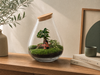 DIY Planten terrarium - Drop XL Bonsai 'red' - Ø 24 cm ↑ 37 cm - Rake + Shovel + Tweezer + Scissors