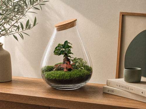 DIY Planten terrarium - Drop XL Bonsai 'red' - Ø 24 cm ↑ 37 cm - Rake + Shovel + Tweezer + Scissors - interieur