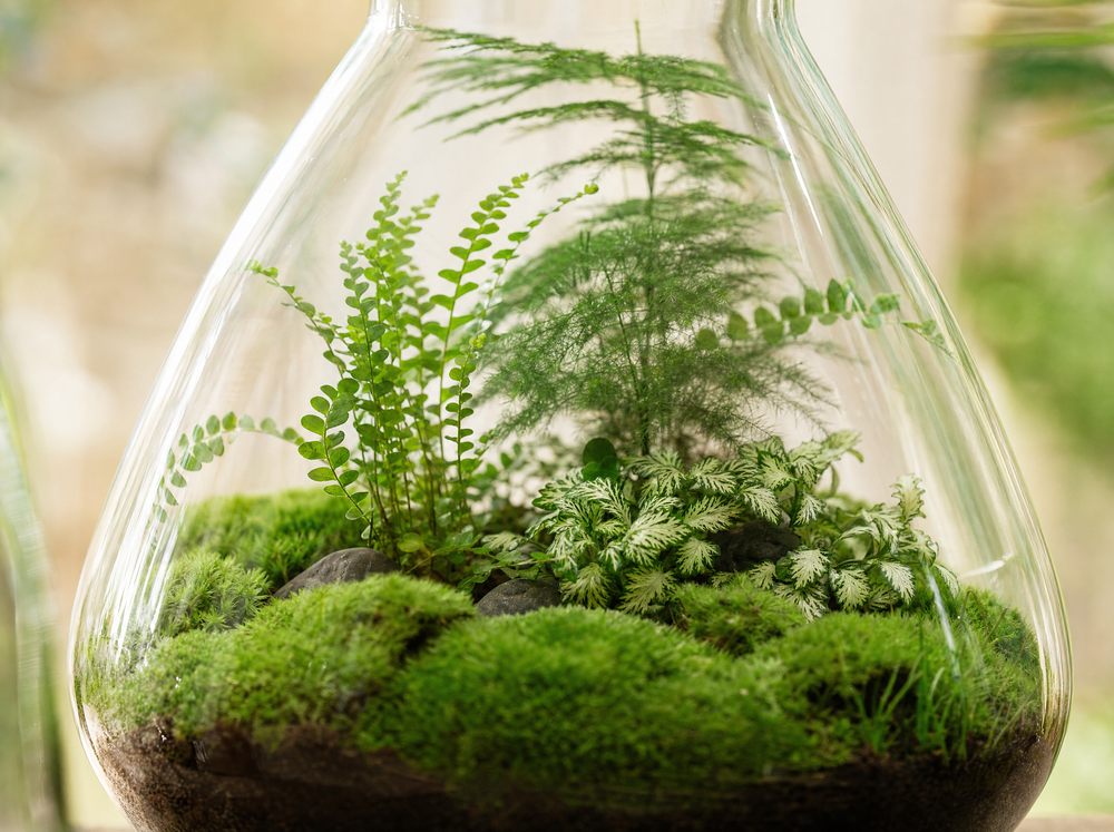DIY Planten terrarium met licht - Sam XL Green - Ø 30 cm ↑ 32 cm - Rake + Shovel + Tweezer + Scissor - detail