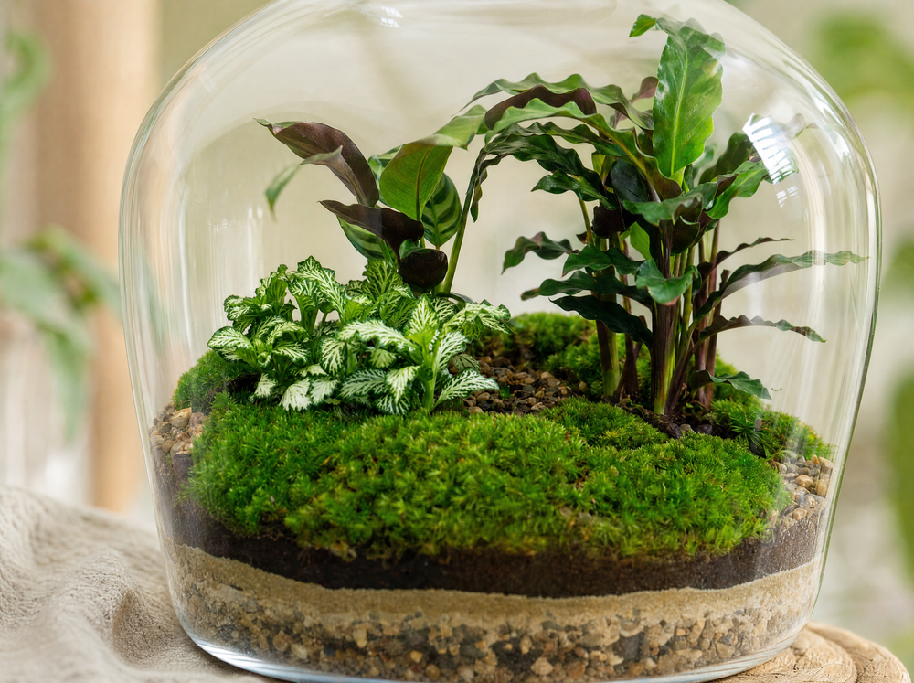DIY Planten terrarium met licht -  Fat Joe - Ø 29 cm ↑ 30 cm - Rake + Shovel + Tweezer + Scissors - detail