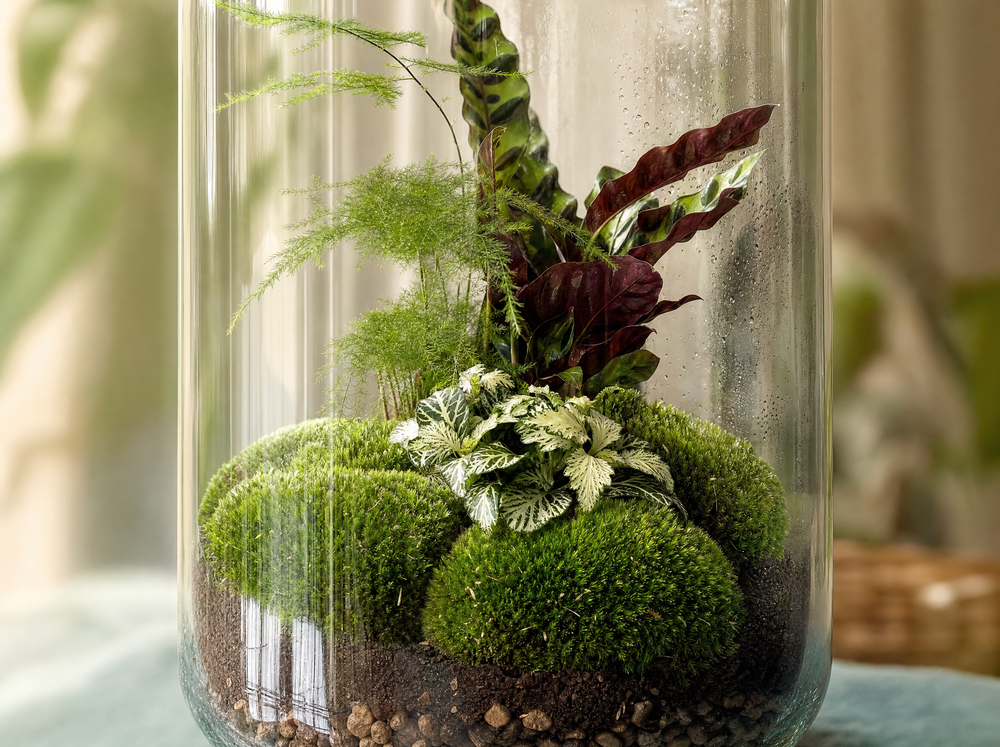 DIY Planten terrarium met licht - Sven XL Botanical - Ø 23 cm ↑ 43 cm - Rake + Shovel + Tweezer + Sc - detail