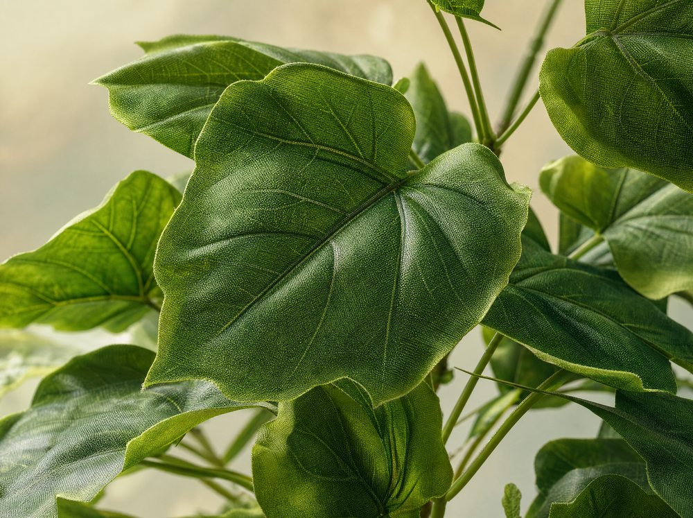Ficus Umbrella boom 125 cm - Kunstplant - Artificial plant - blad close-up