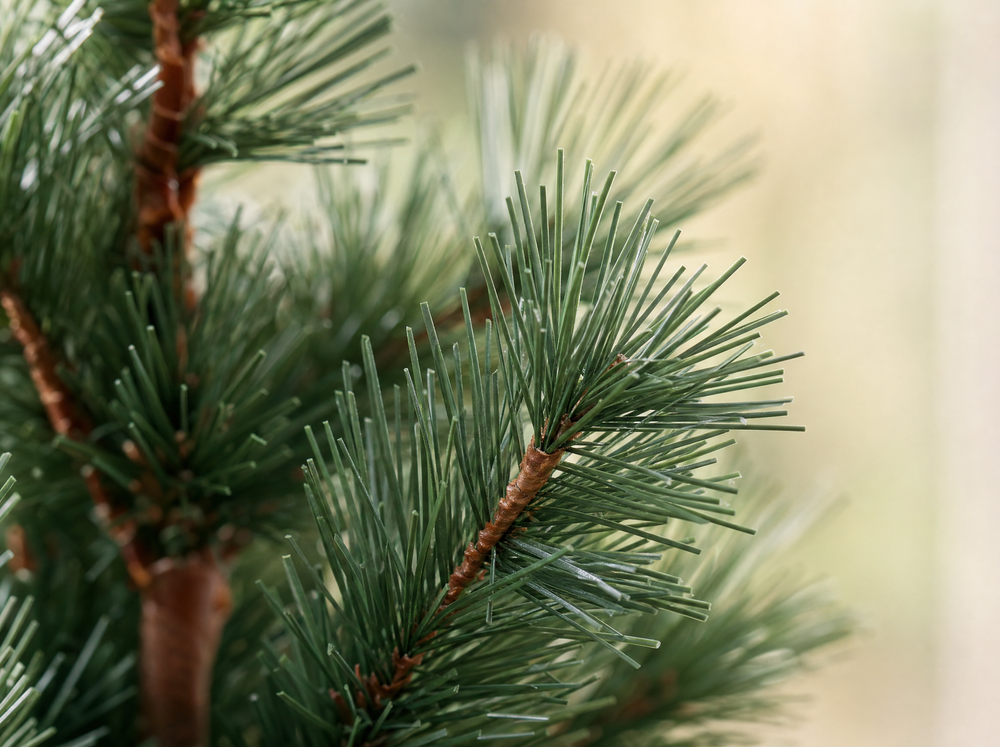 Dennenboom (Cedar Pine) 120 cm – Kunstplant in pot - ARTIFICIAL - blad close-up