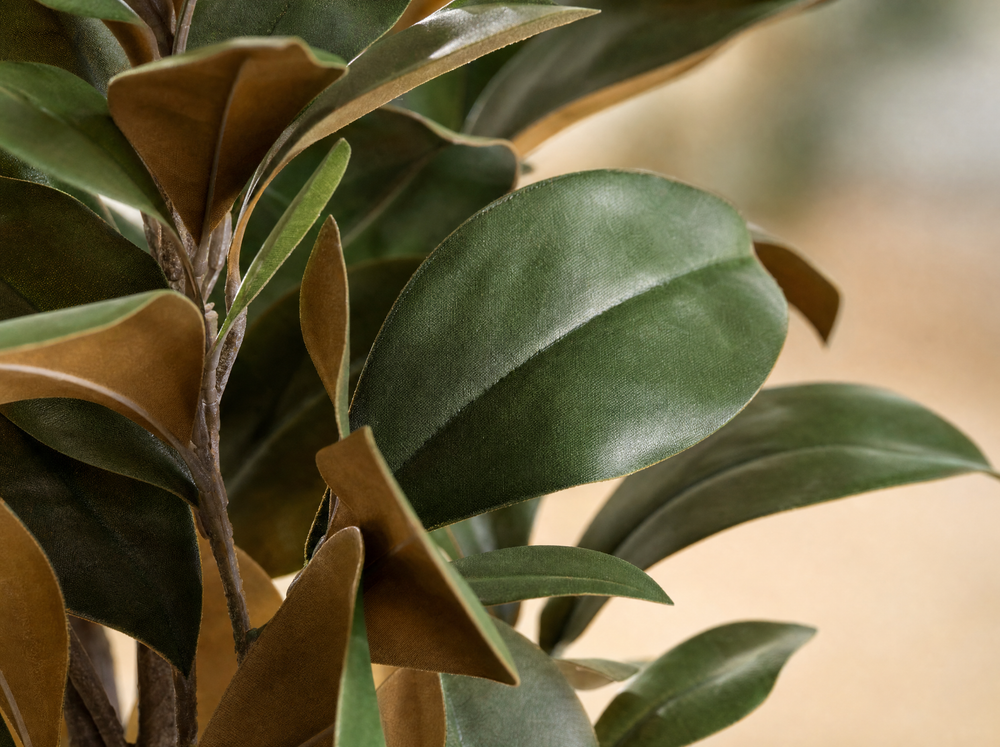 Magnolia Denudata - 150 cm - Kunstboom - Kunstplant - ARTIFICIAL - blad close-up
