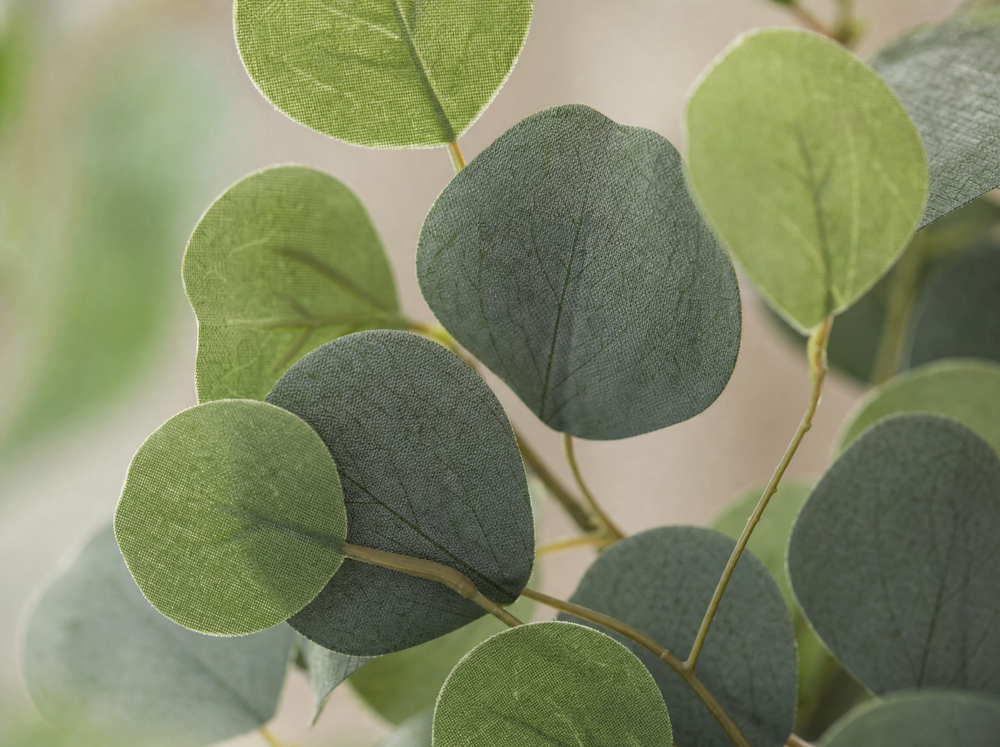 Eucalyptus boom - 140 cm - Kunstplant - blad close-up