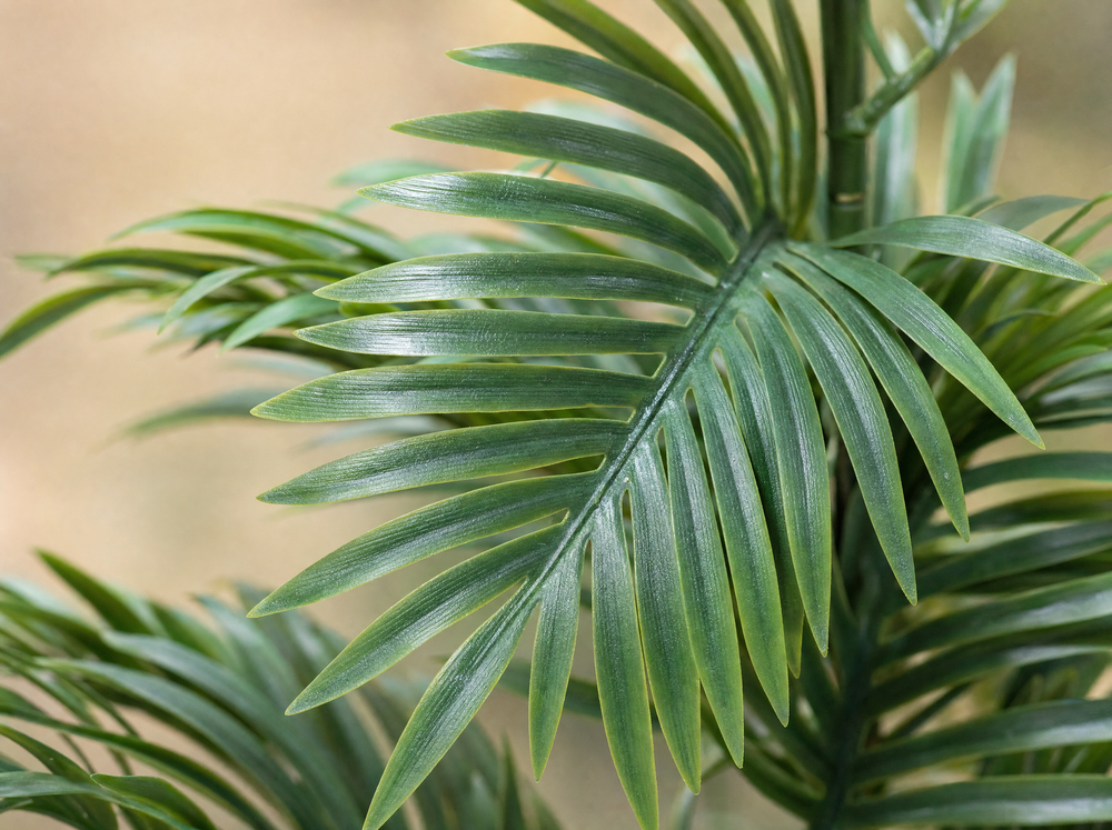 Palm Phoenix 120 cm - Kunstplant - Artificial plant - blad close-up