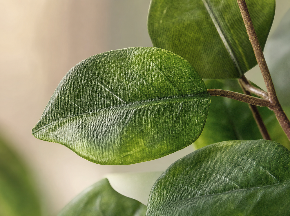 Polyscias boom - 105 cm - Kunstplant - blad close-up