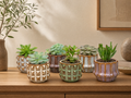 Succulenten Set van 6 in Keramische Mini Potjes Barcelona -  ↑ 8–12 cm - interieur