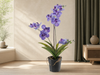 Orchidee Vanda kunstplant 60 cm - Paars - In pot - Artificial plant