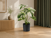 Monstera bush in pot 40cm - Kunstplant - Artificial plant