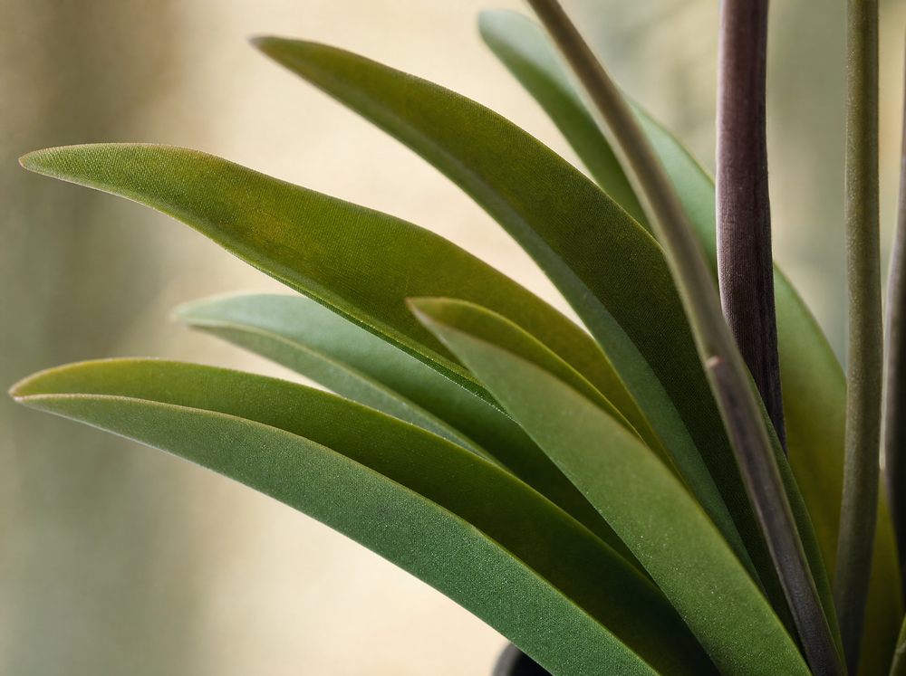 Orchidee Vanda kunstplant 60 cm - Paars - In pot - Artificial plant - blad close-up