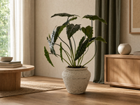 Alocasia 80cm - Kunstplant - Artificial plant