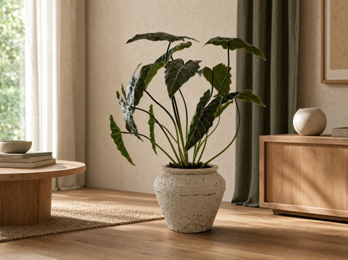 Alocasia 80cm - Kunstplant - Artificial plant - interieur
