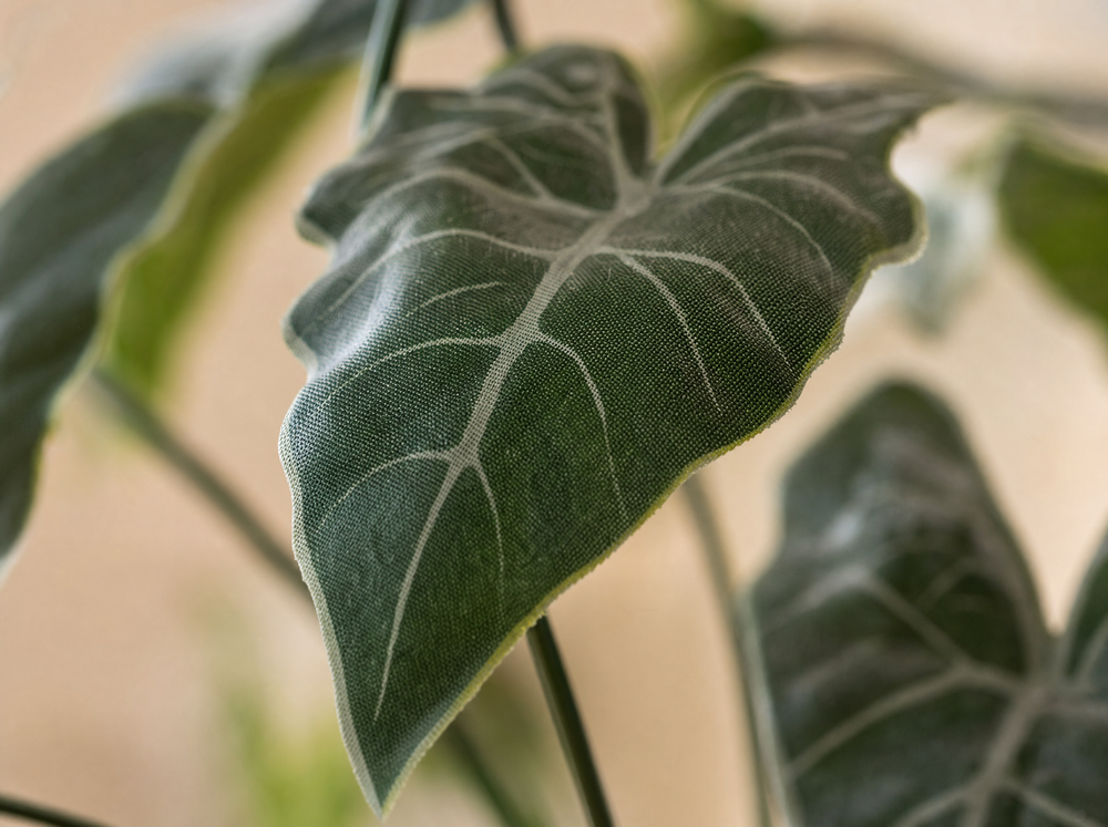 Alocasia 80cm - Kunstplant - Artificial plant - blad close-up