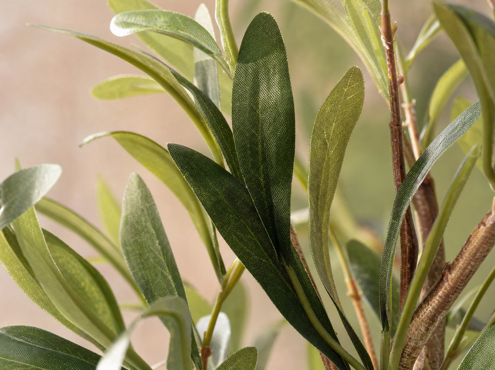 Olijfboom in pot 65cm – Kunstplant - Artificial plant - blad close-up