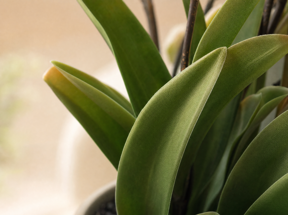 Orchidee Vanda kunstplant 60 cm - Oudroze - In pot - Artificial plant - blad close-up