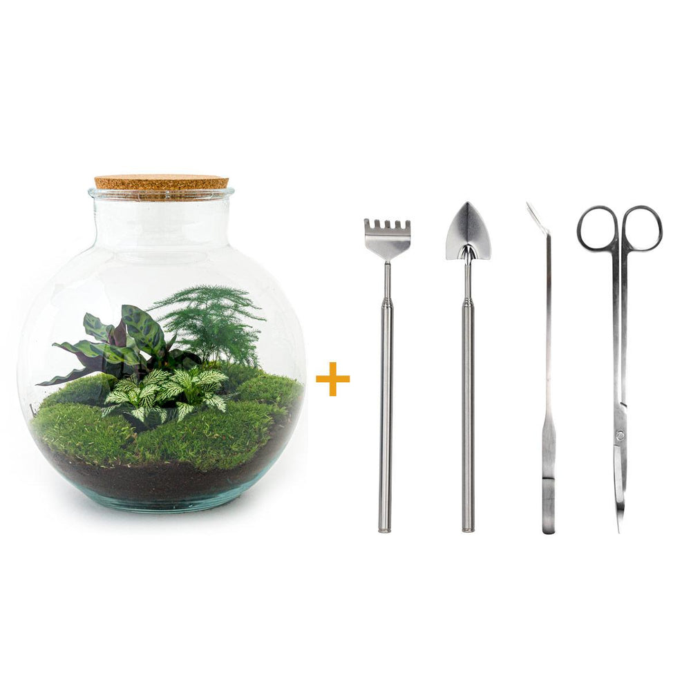 DIY Planten terrarium (met verlichting) - Bolder Bob - Ø 31 cm ↑ 30 cm - Rake + Shovel + Tweezer + Scissors