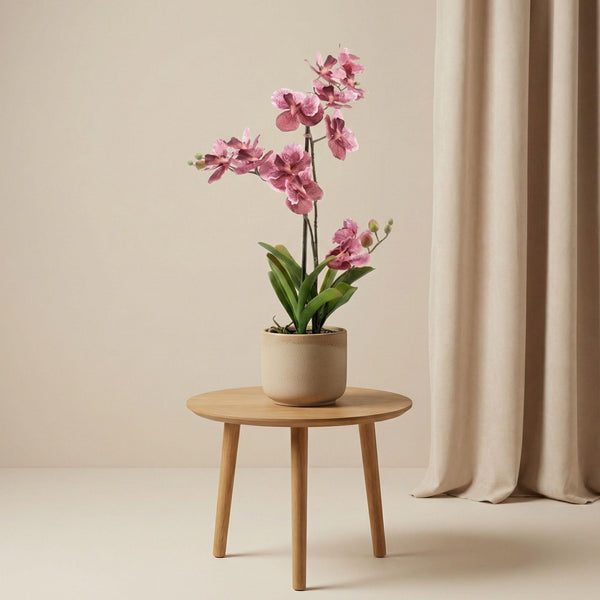 Orchidee Vanda Oudroze — 60 cm — Kunstplant