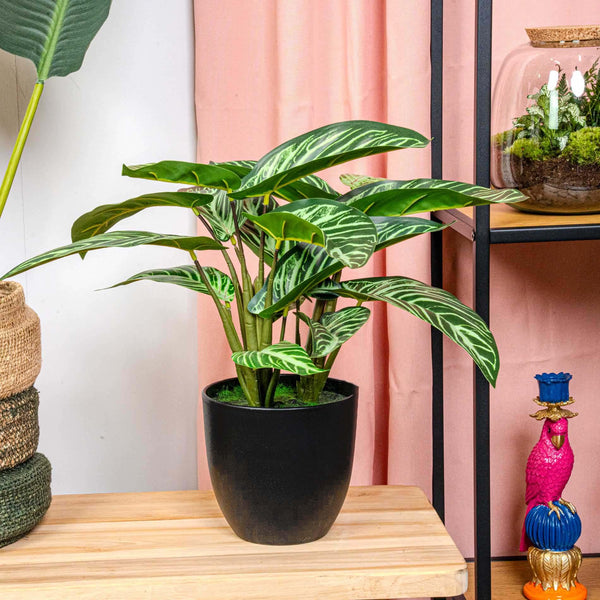 Calathea Zebrina — 42 cm — Kunstplant
