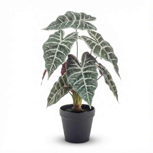 Alocasia Bush — 40 cm — Kunstplant